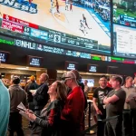 Interviews With Sports Betting Experts